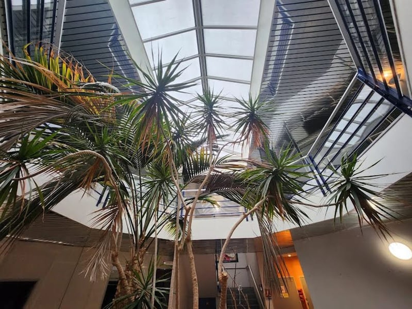 Local 1540 m²