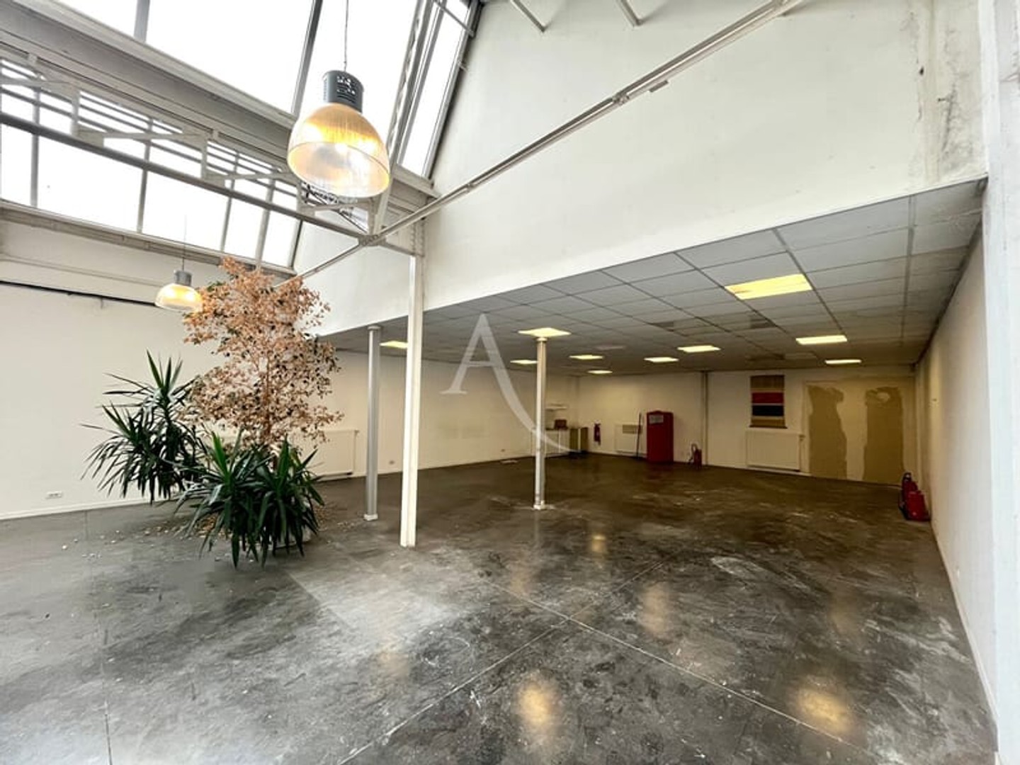 Immeuble à vendre - 1046m2 - Croix (59170)