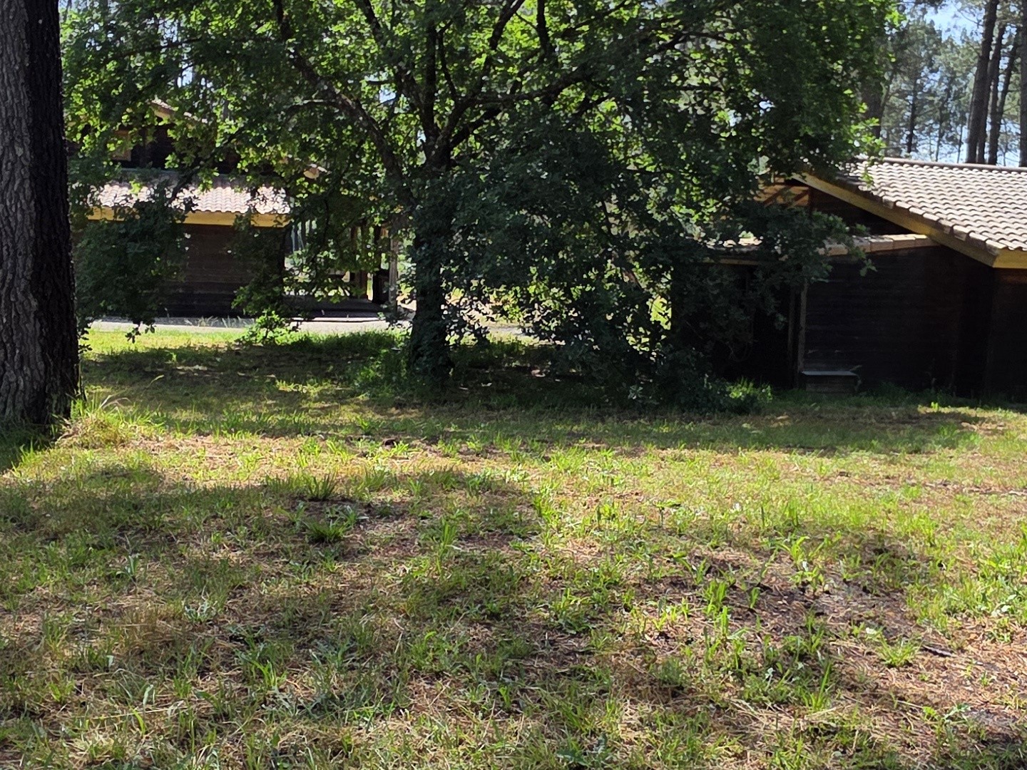 Maison à vendre - 10 pièces - 630m2 - Biscarrosse (40600)