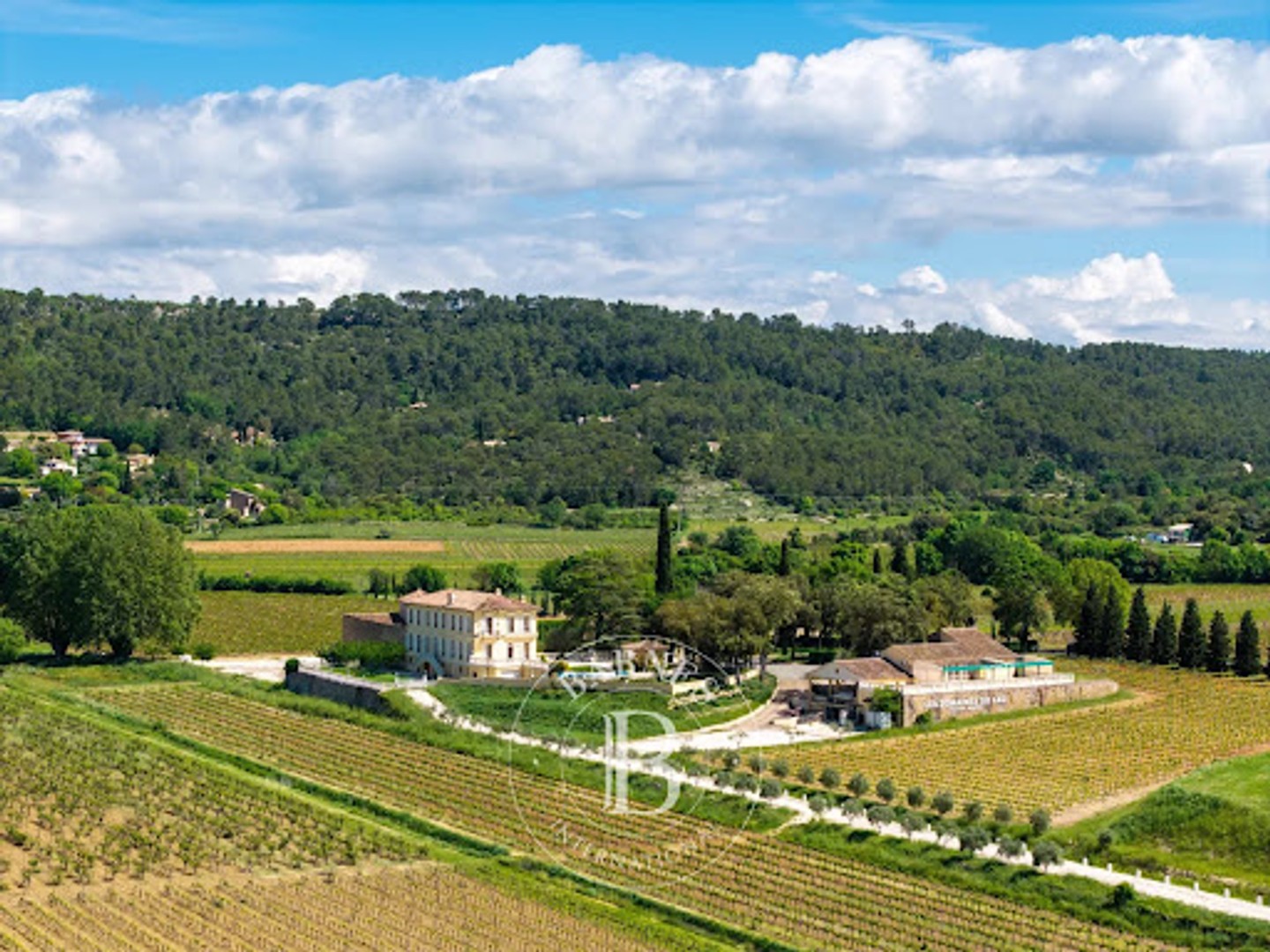 Vignoble 700000 m²