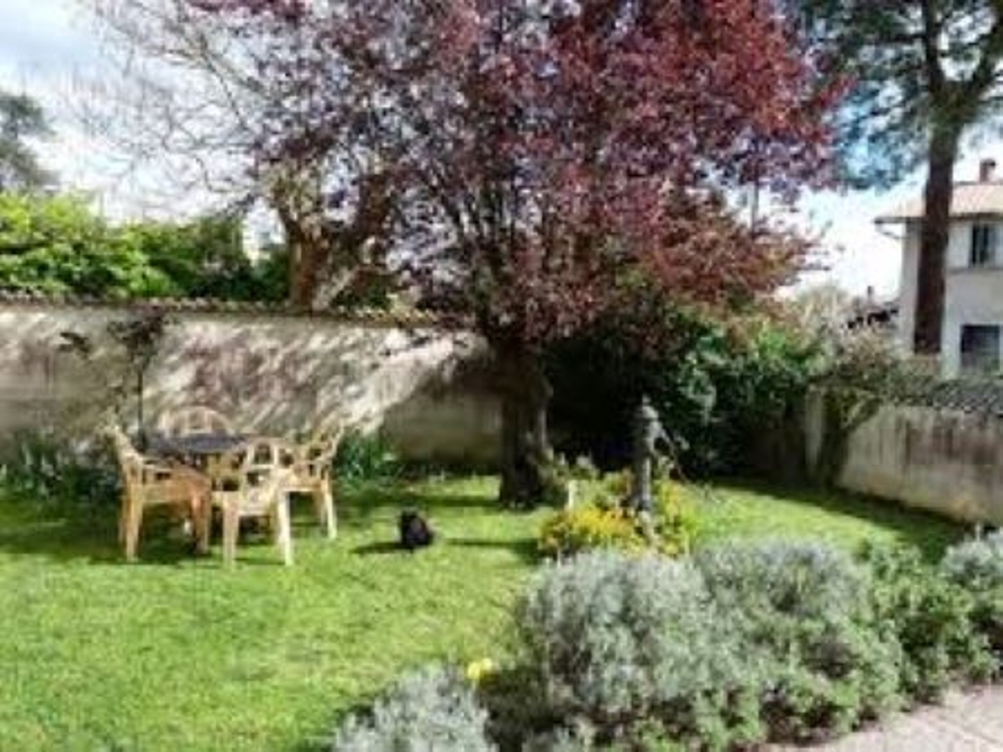 Appartement à vendre - 1 pièce - 38m2 - Rosny-Sous-Bois (93110)