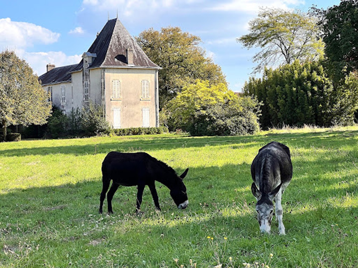 Maison à vendre - 13 pièces - 417m2 - Moutiers-Les-Maux... (85540)