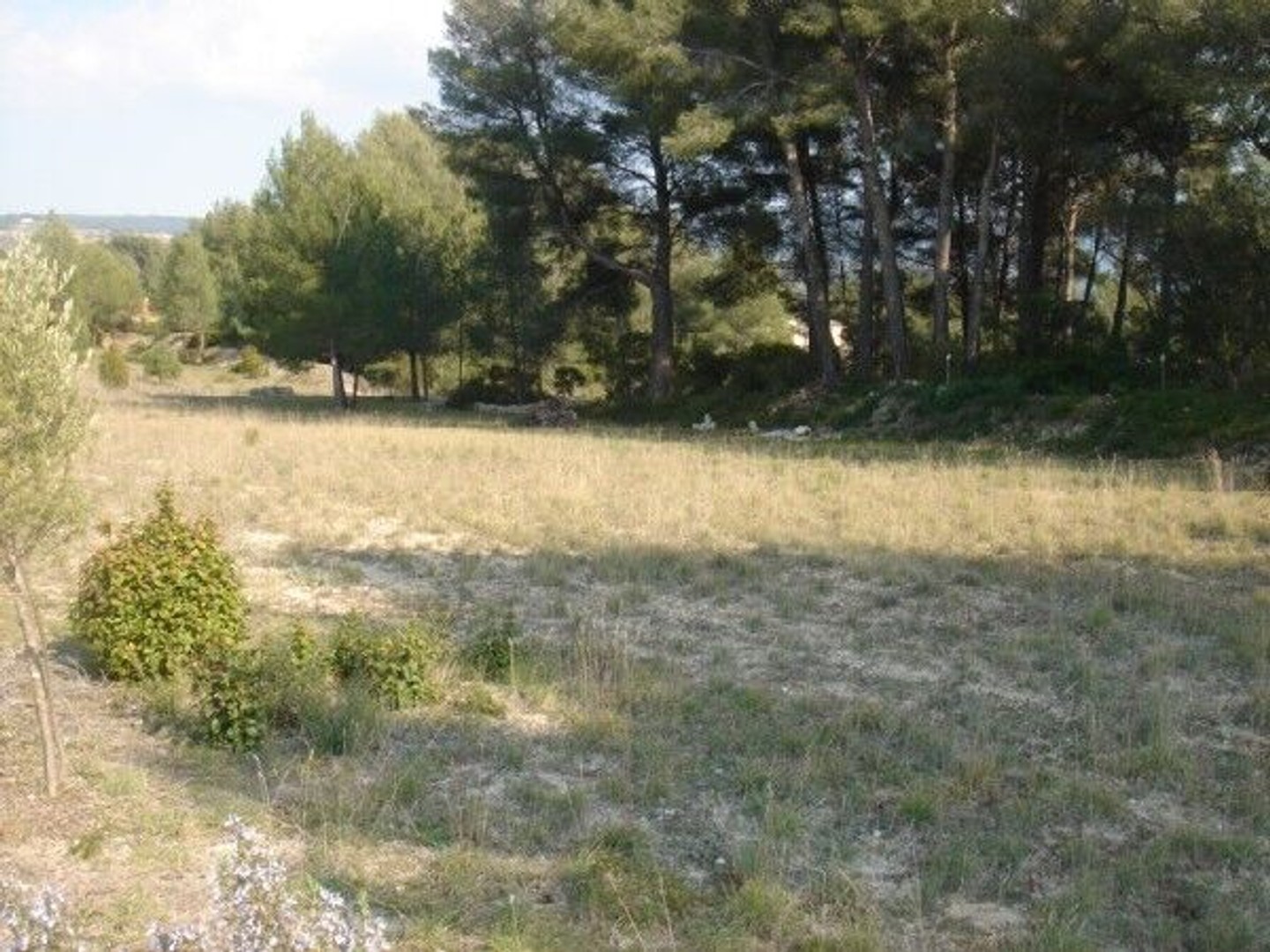 Terrain à vendre - 3499m2 - Le Beausset (83330)