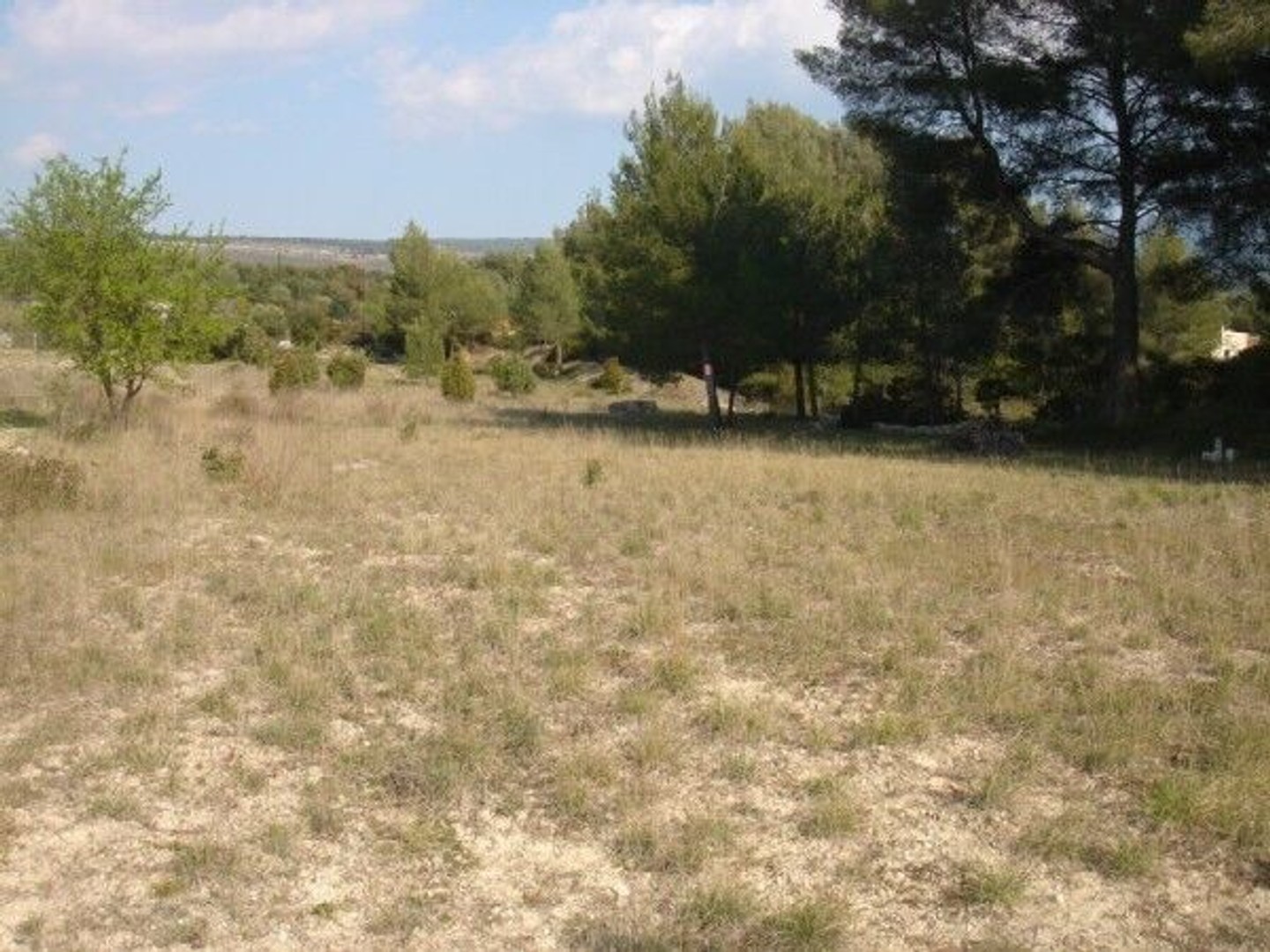 Terrain à vendre - 3499m2 - Le Beausset (83330)