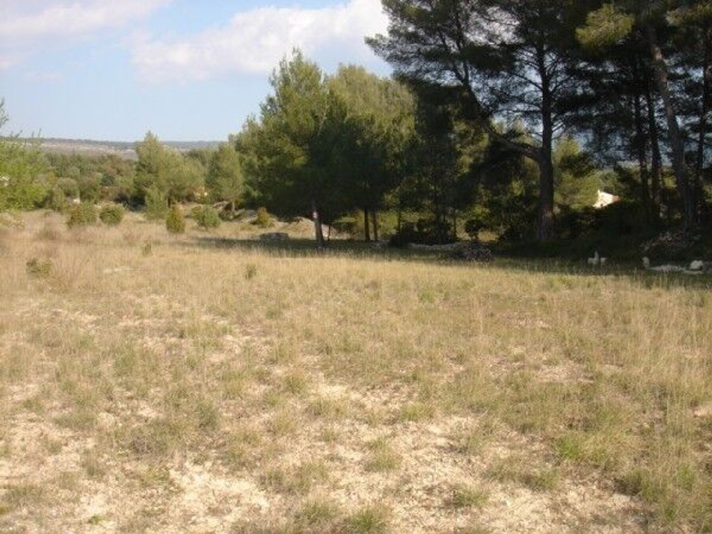 Terrain à vendre - 3499m2 - Le Beausset (83330)