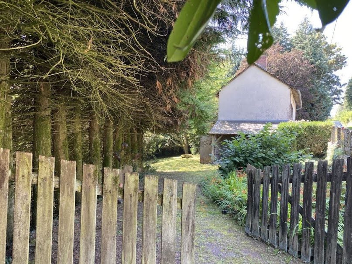 Maison à vendre - 1 pièce - 40m2 - Saint-Gilles-Les-... (87130)