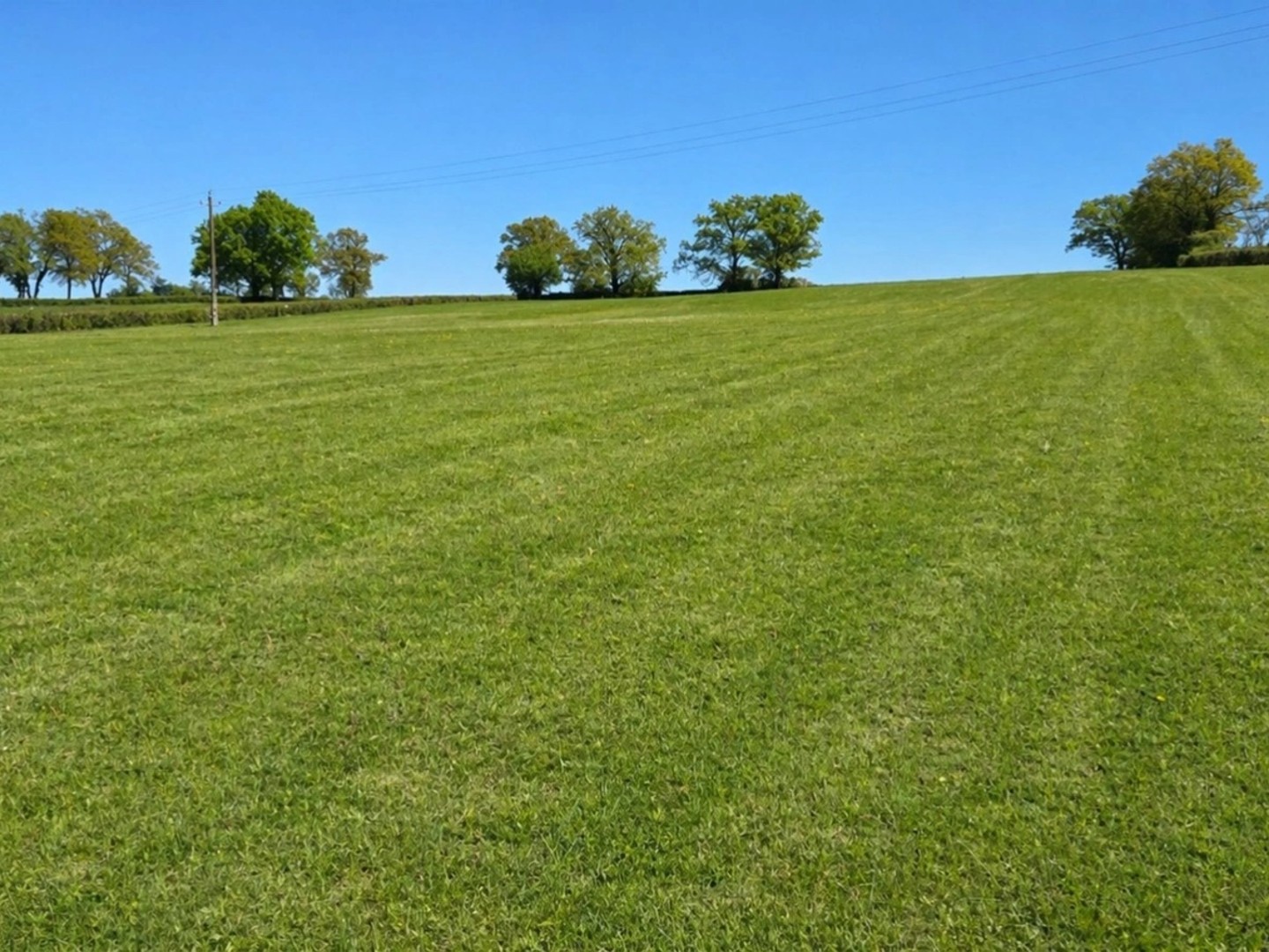 Terrain à vendre - 3600m2 - Saint-Émiland (71490)