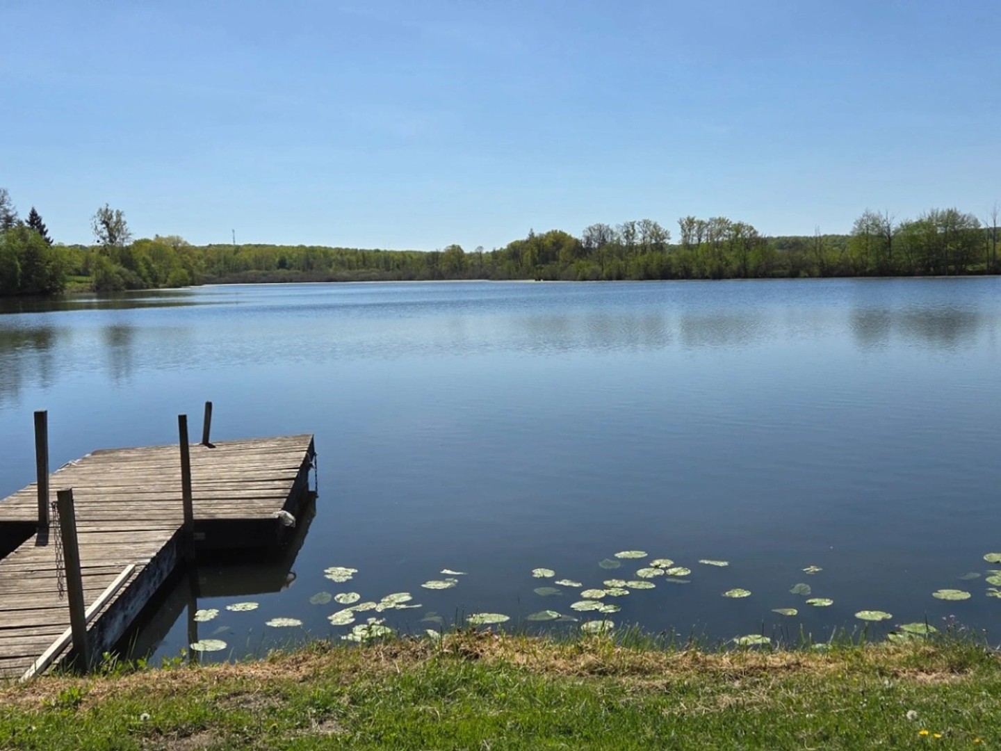 Terrain à vendre - 3600m2 - Saint-Émiland (71490)