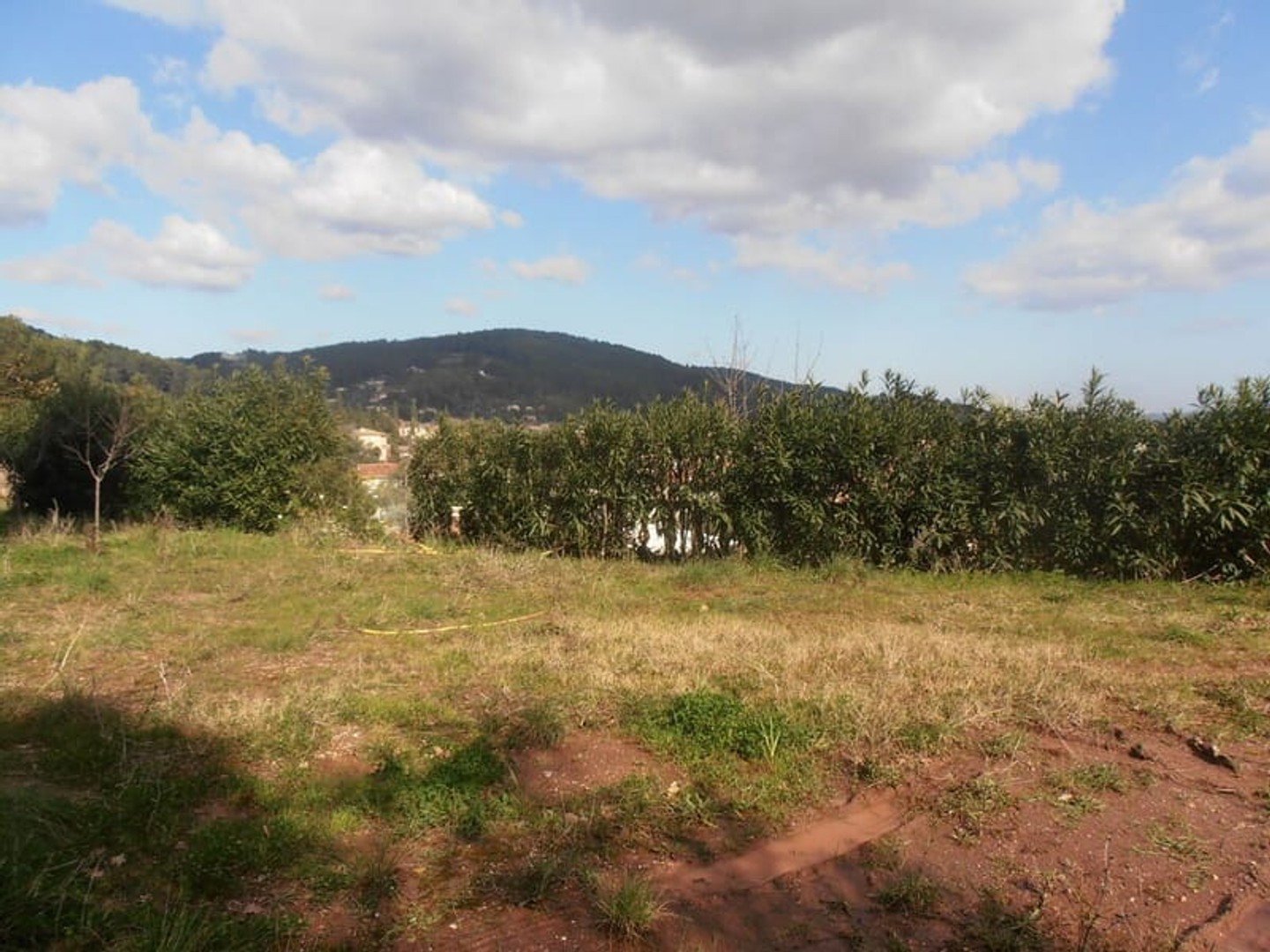 Terrain à vendre - 730m2 - Solliès-Pont (83210)