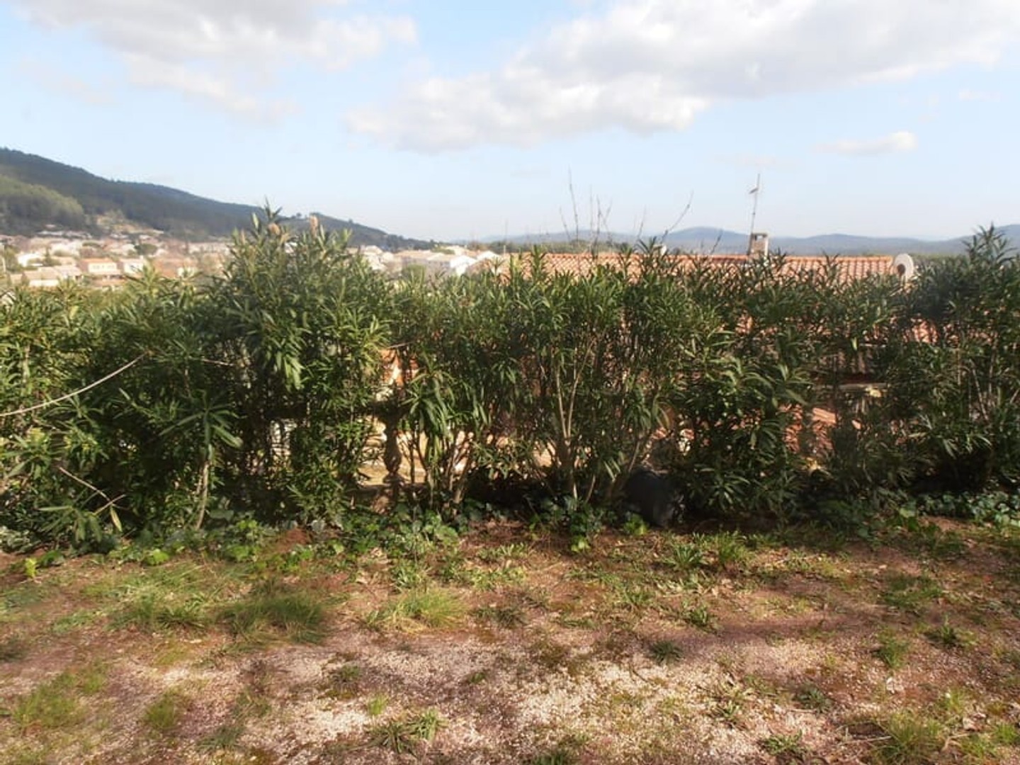 Terrain à vendre - 730m2 - Solliès-Pont (83210)