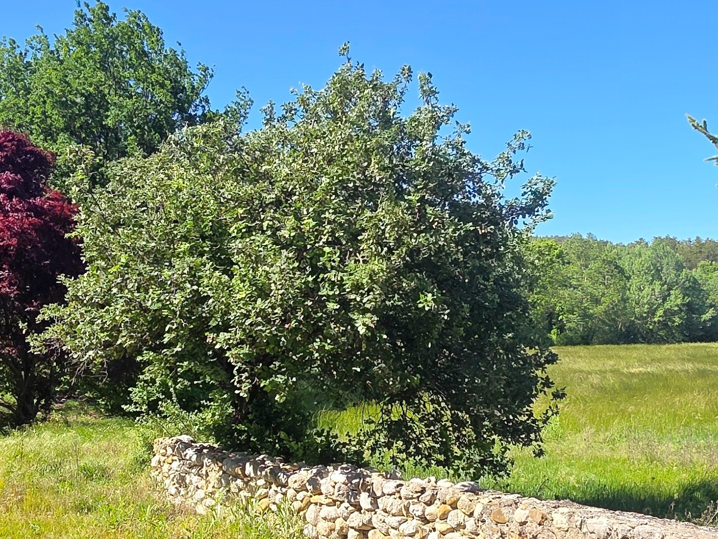Maison à vendre - 5 pièces - 90m2 - Estoublon (04270)