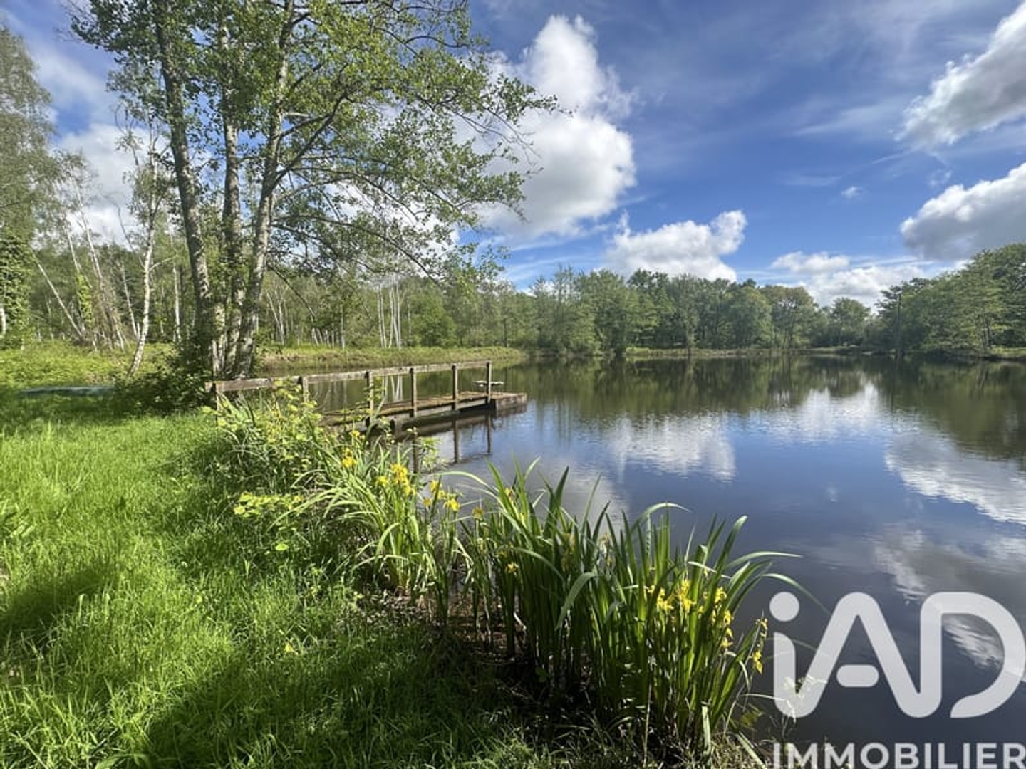 Maison à vendre - 15 pièces - 409m2 - La Ferté-Saint-Cyr (41220)