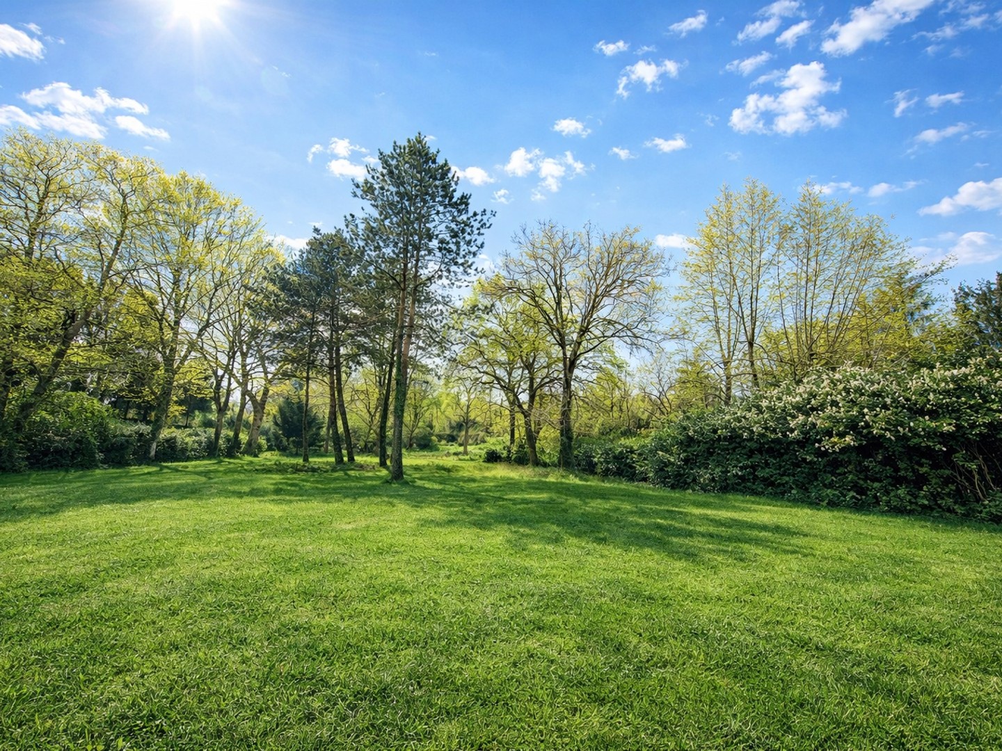 Terrain à vendre - 12000m2 - Bénesse-Maremne (40230)