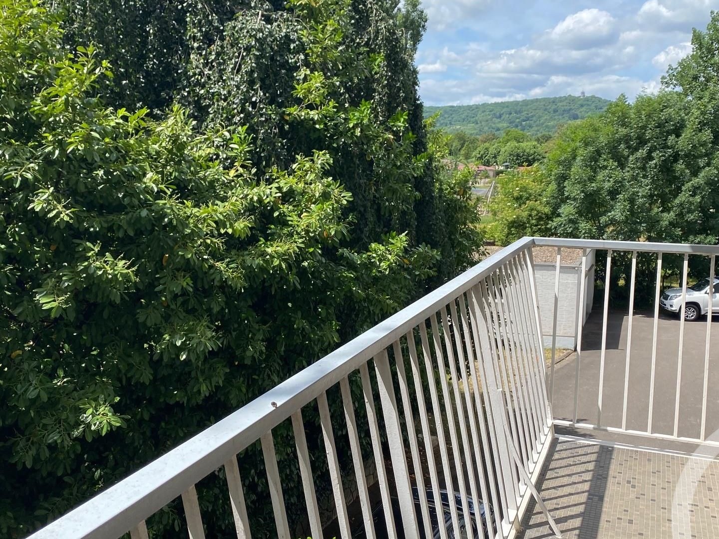 Appartement à vendre - 6 pièces - 204m2 - Montigny-Lès-Metz (57950)