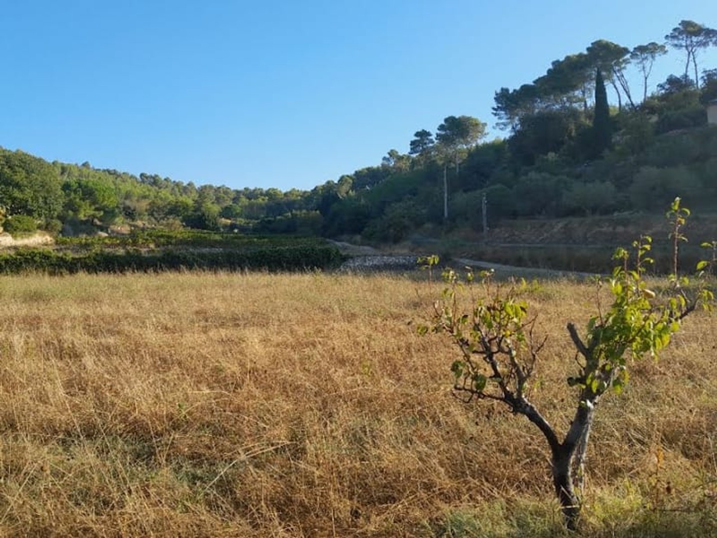 Maison à vendre - 1262m2 - Cotignac (83570)