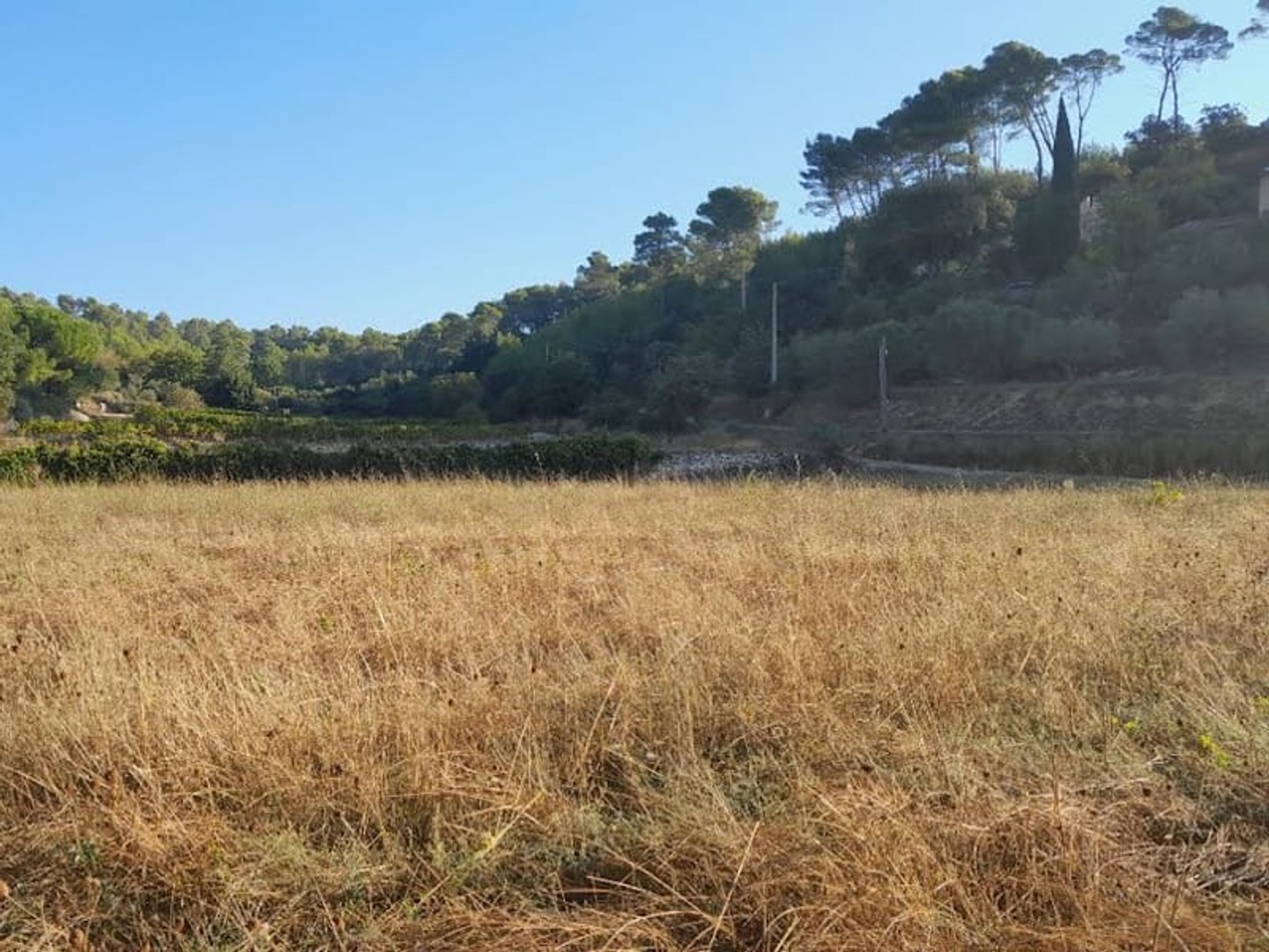 Maison à vendre - 1262m2 - Cotignac (83570)
