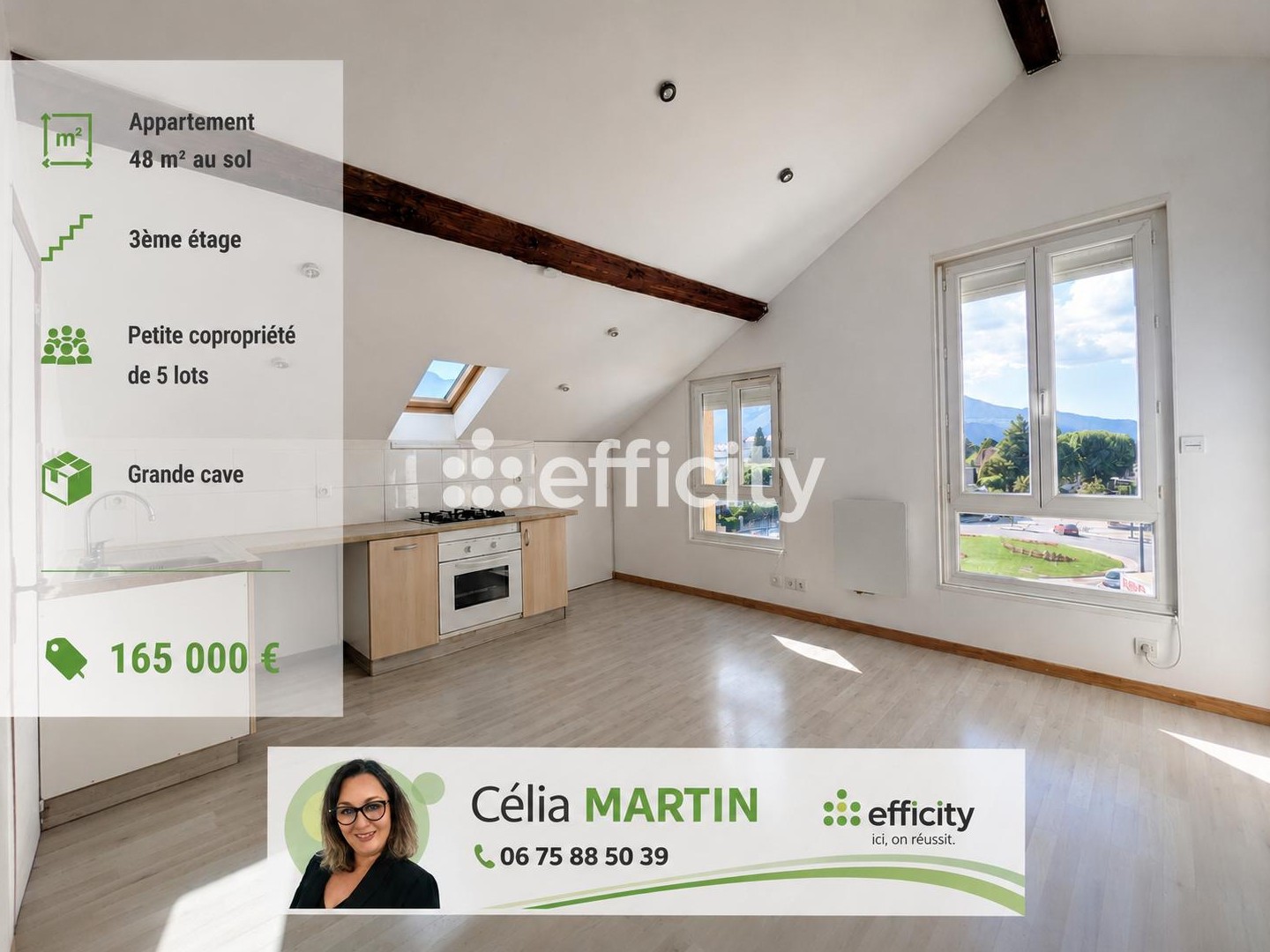 Appartement à vendre - 29m2 - Aix-Les-Bains (73100)