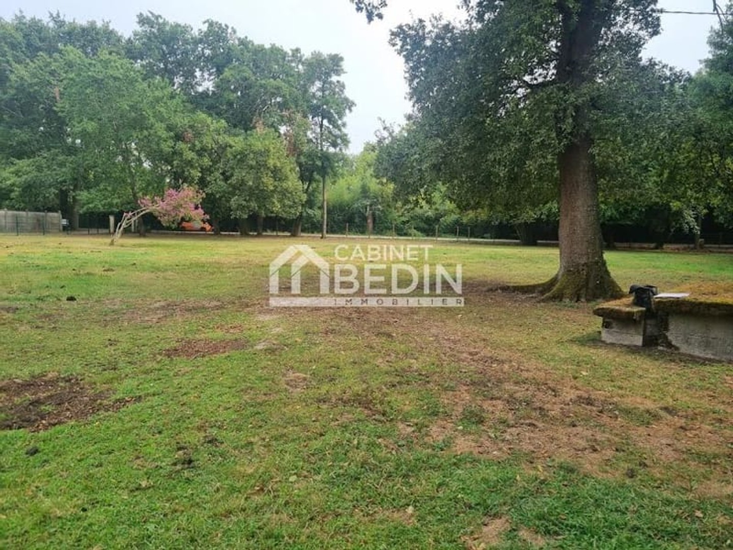 Terrain 4201 m²