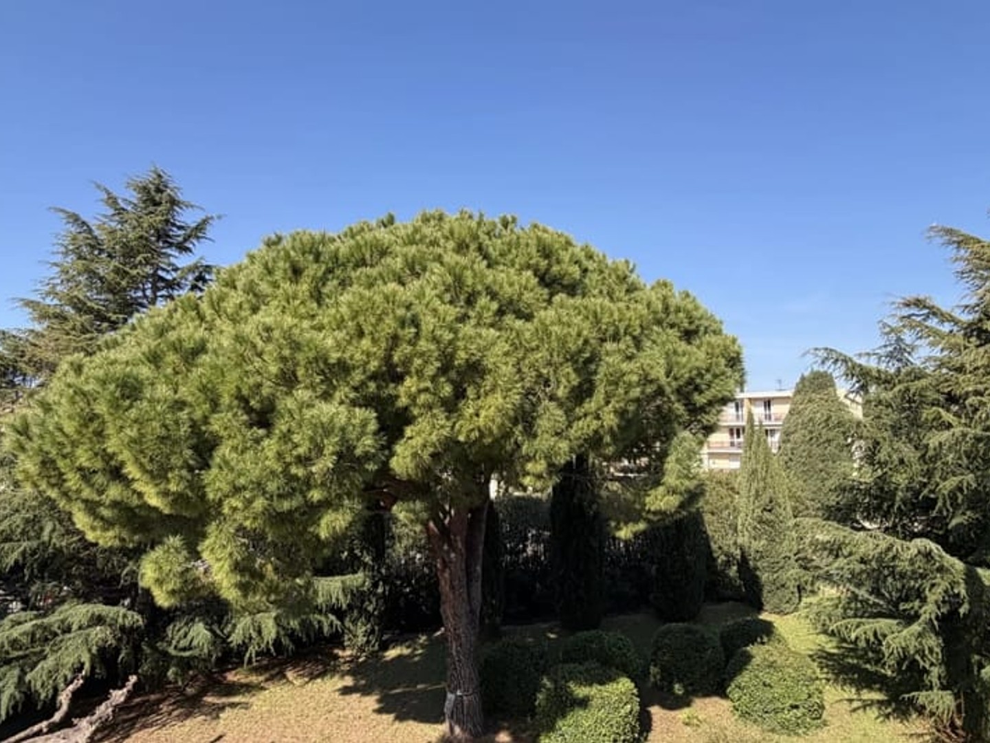 Appartement à vendre - 4 pièces - 60m2 - Sanary-Sur-Mer (83110)
