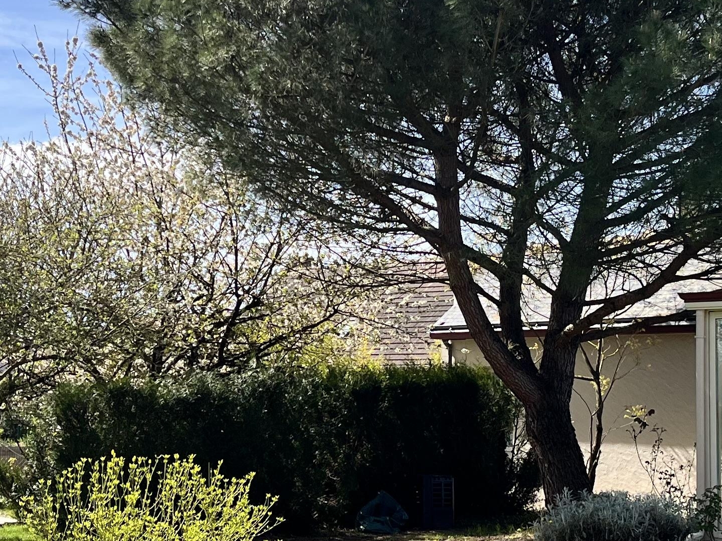Maison à vendre - 7 pièces - 197m2 - Savonnières (37510)