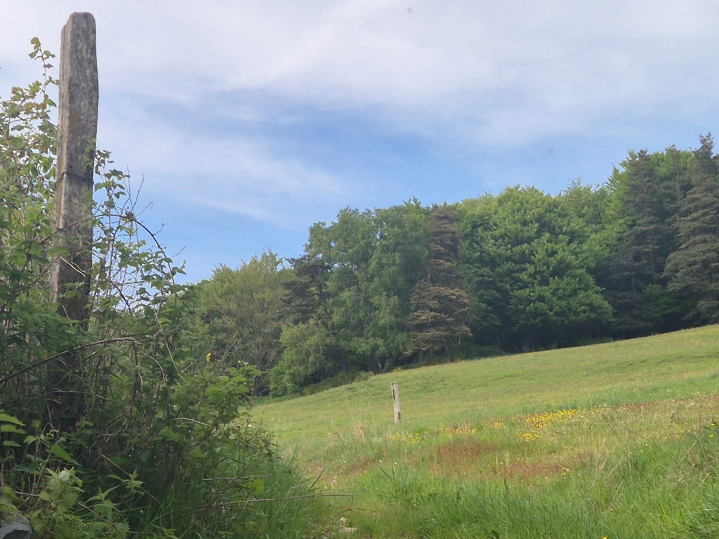 Locaux à vendre - 3 pièces - 800m2 - Le Malzieu-Forain (48140)