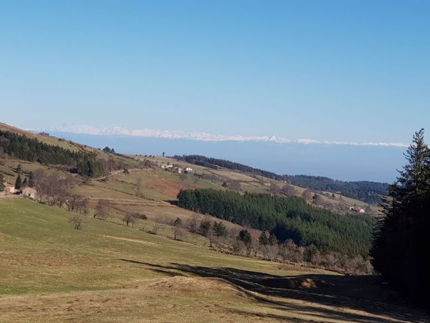 Locaux à vendre - 480m2 - Thélis-La-Combe (42220)