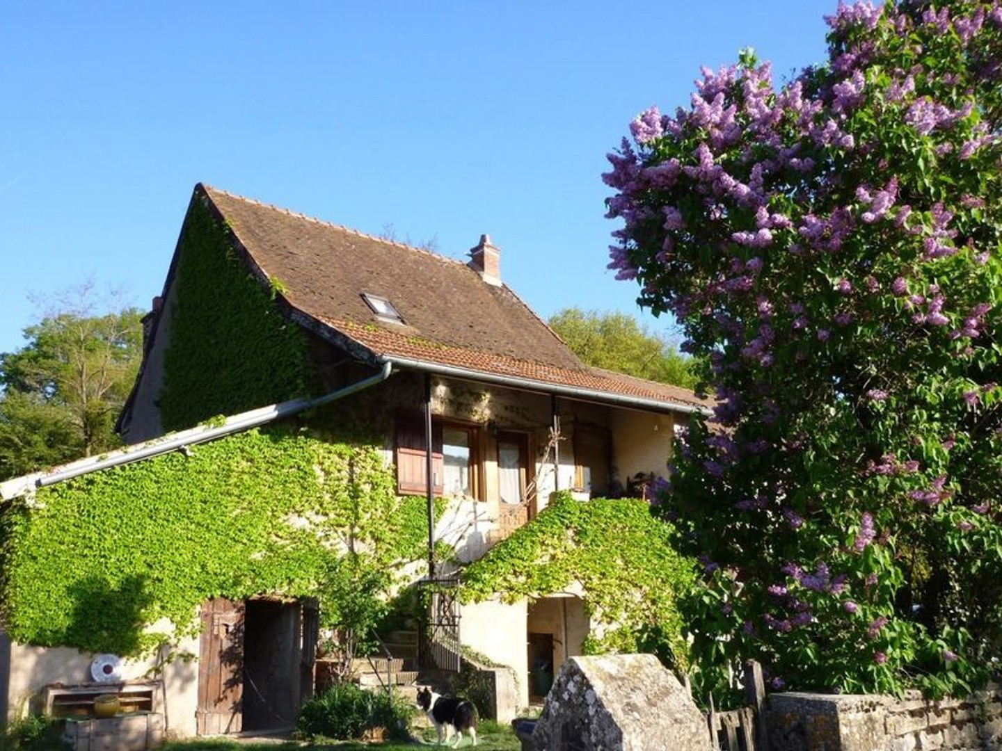 Maison à vendre - 5 pièces - 2700m2 - Chalon-Sur-Saône (71100)