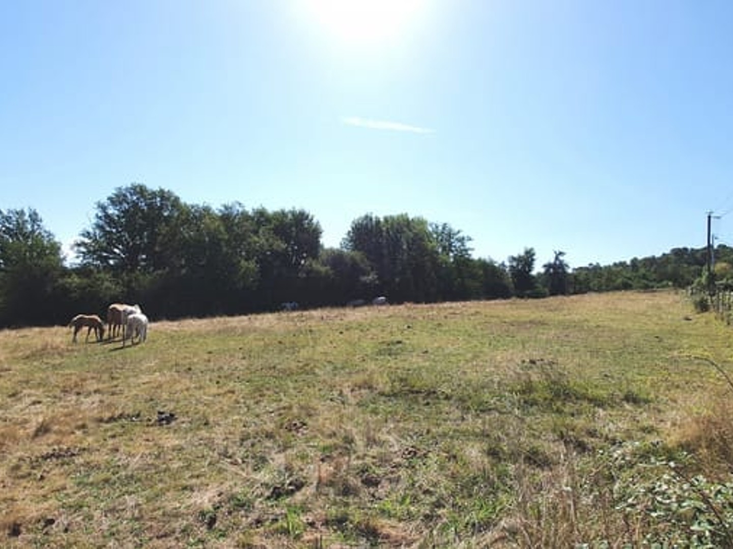 Terrain à vendre - 1856m2 - Brive-La-Gaillarde (19100)