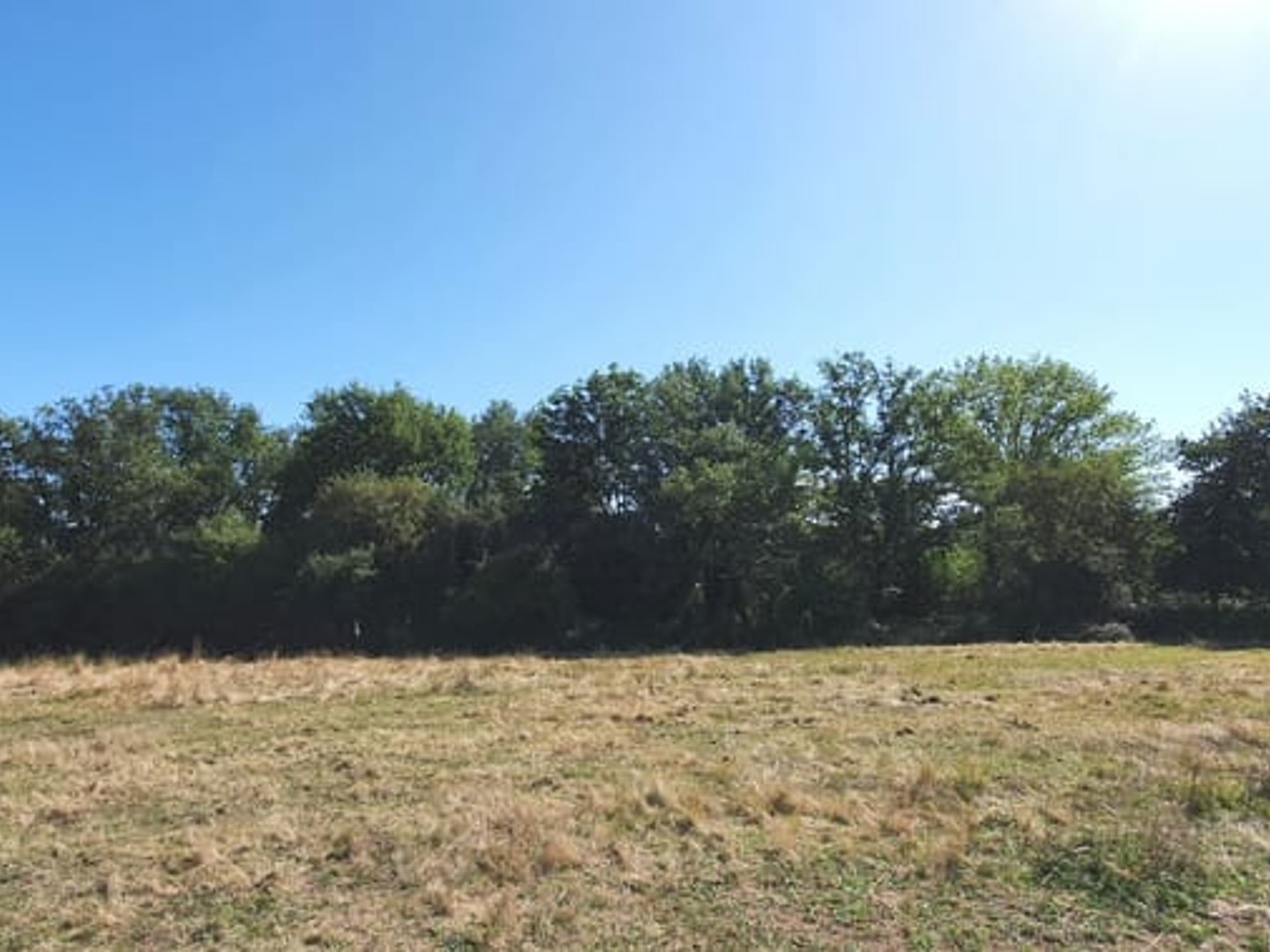 Terrain à vendre - 1856m2 - Brive-La-Gaillarde (19100)