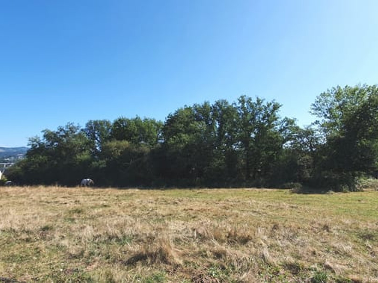 Terrain à vendre - 1856m2 - Brive-La-Gaillarde (19100)