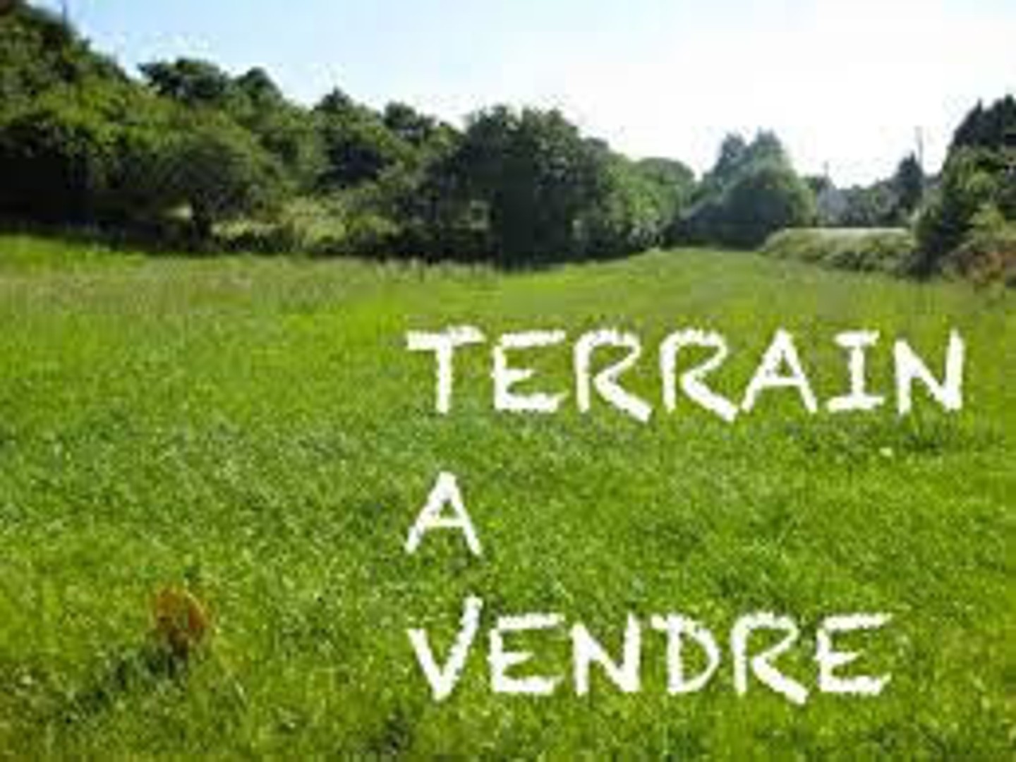Terrain à vendre - 1040m2 - Saint-Aubin (40250)