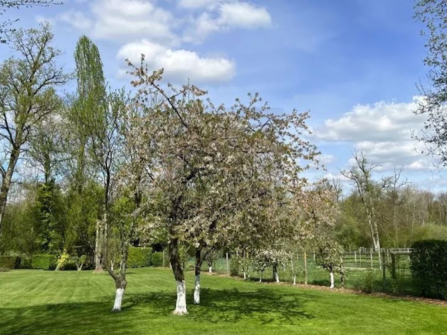 Maison à vendre - 6 pièces - 210m2 - Fontainebleau (77300)