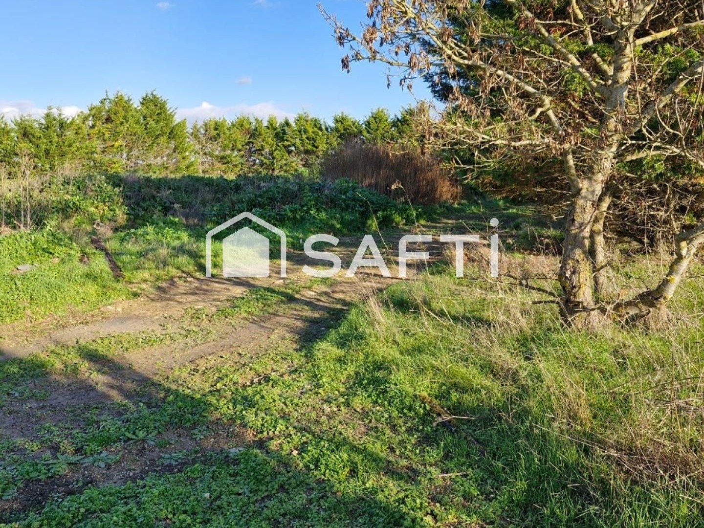 Locaux à vendre - 4900m2 - Marsilly (17137)