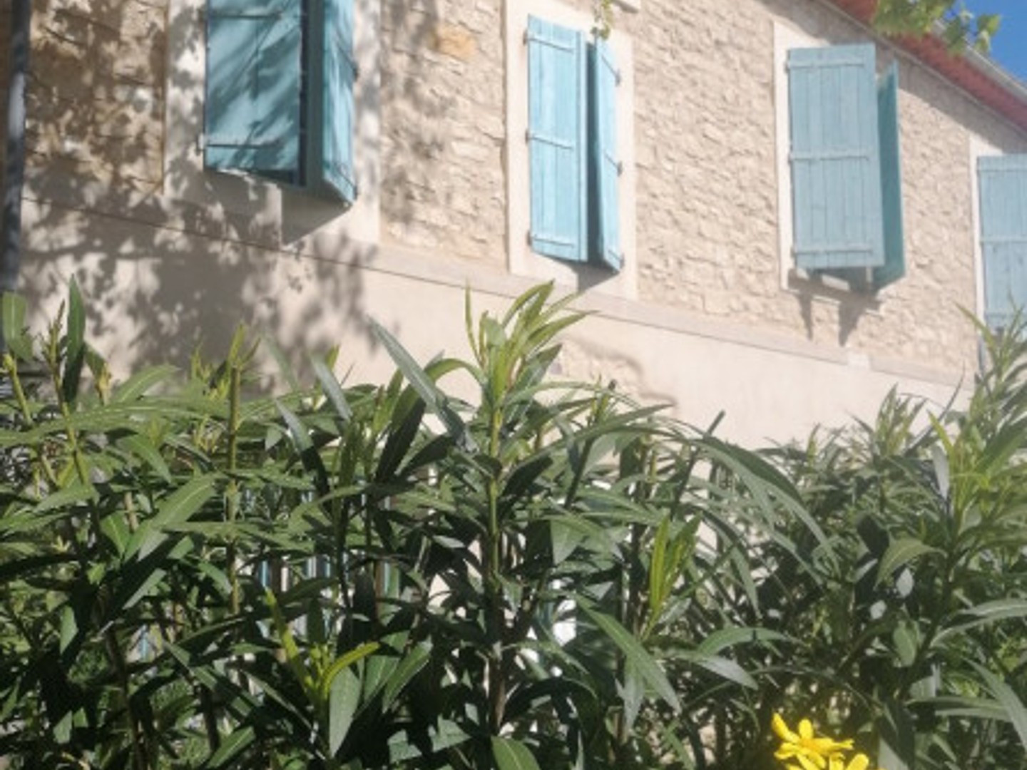 Immeuble à vendre - 7 pièces - 185m2 - Peyriac-De-Mer (11440)