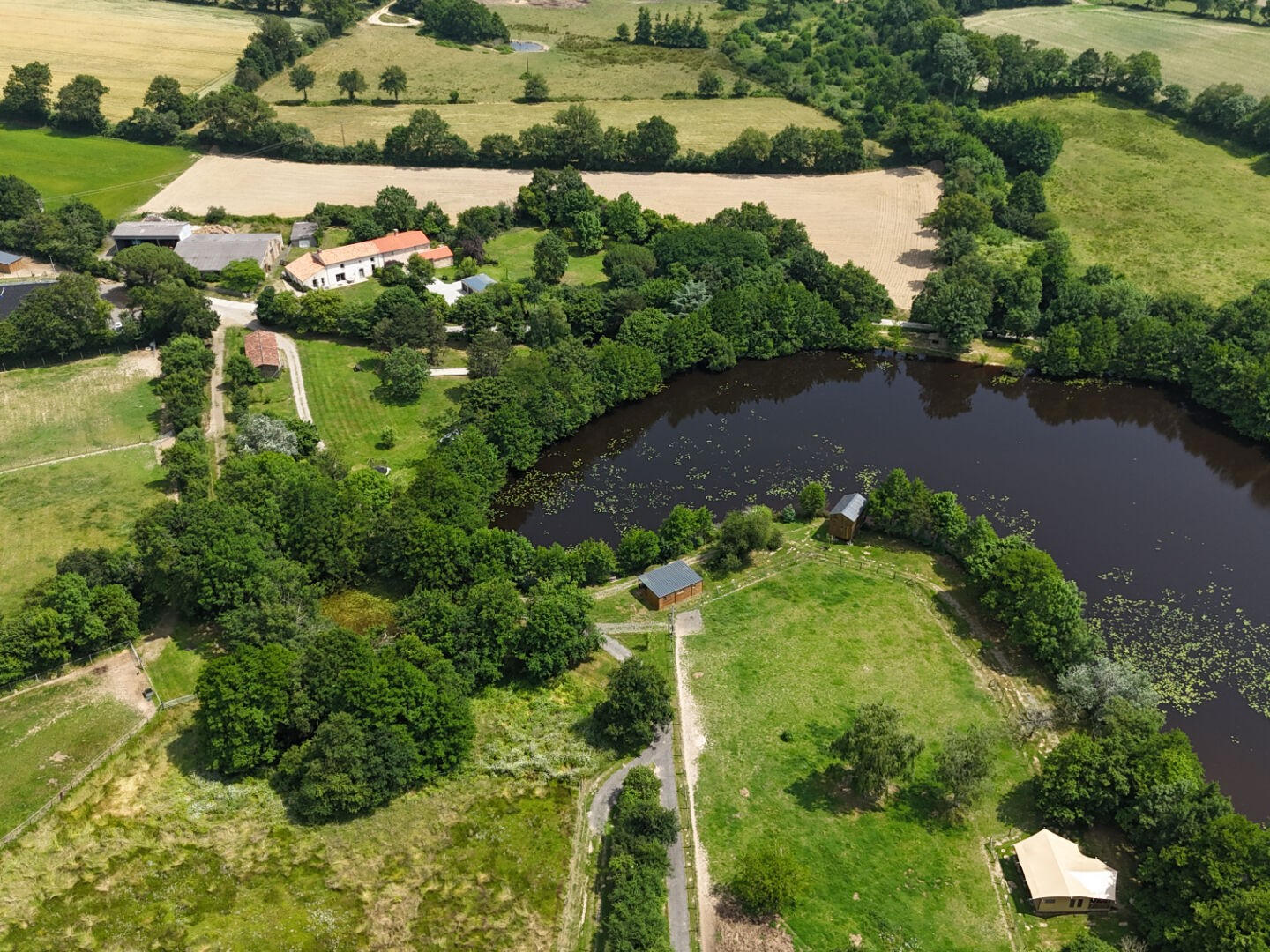 VENDEE 85 - SAINT FLORENT DES BOIS - Propriété Equestre / Loisirs - Maison en Pierres 200m2 - Activité d'hebergement , 15 Hectares + étang
