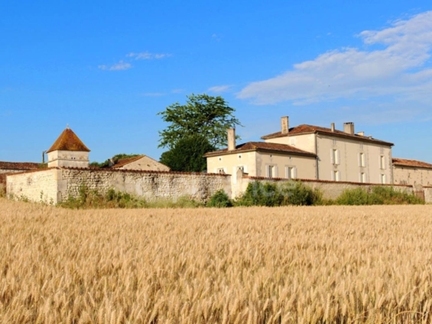 Maison à vendre - 8 pièces - 310m2 - Cognac (16100)