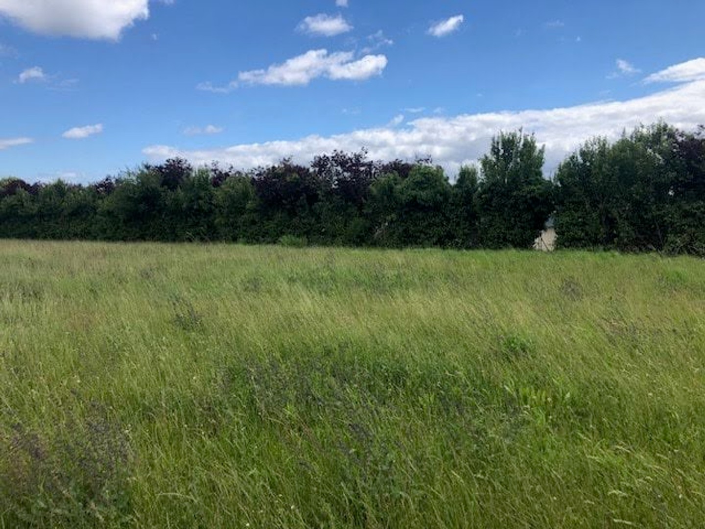 Terrain à vendre - 672m2 - Doué-En-Anjou (49700)