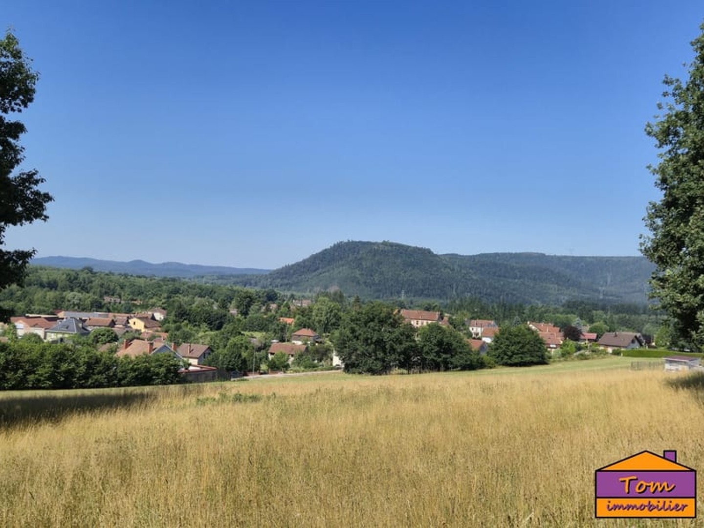 Terrain à vendre - 3325m2 - Moyenmoutier (88420)