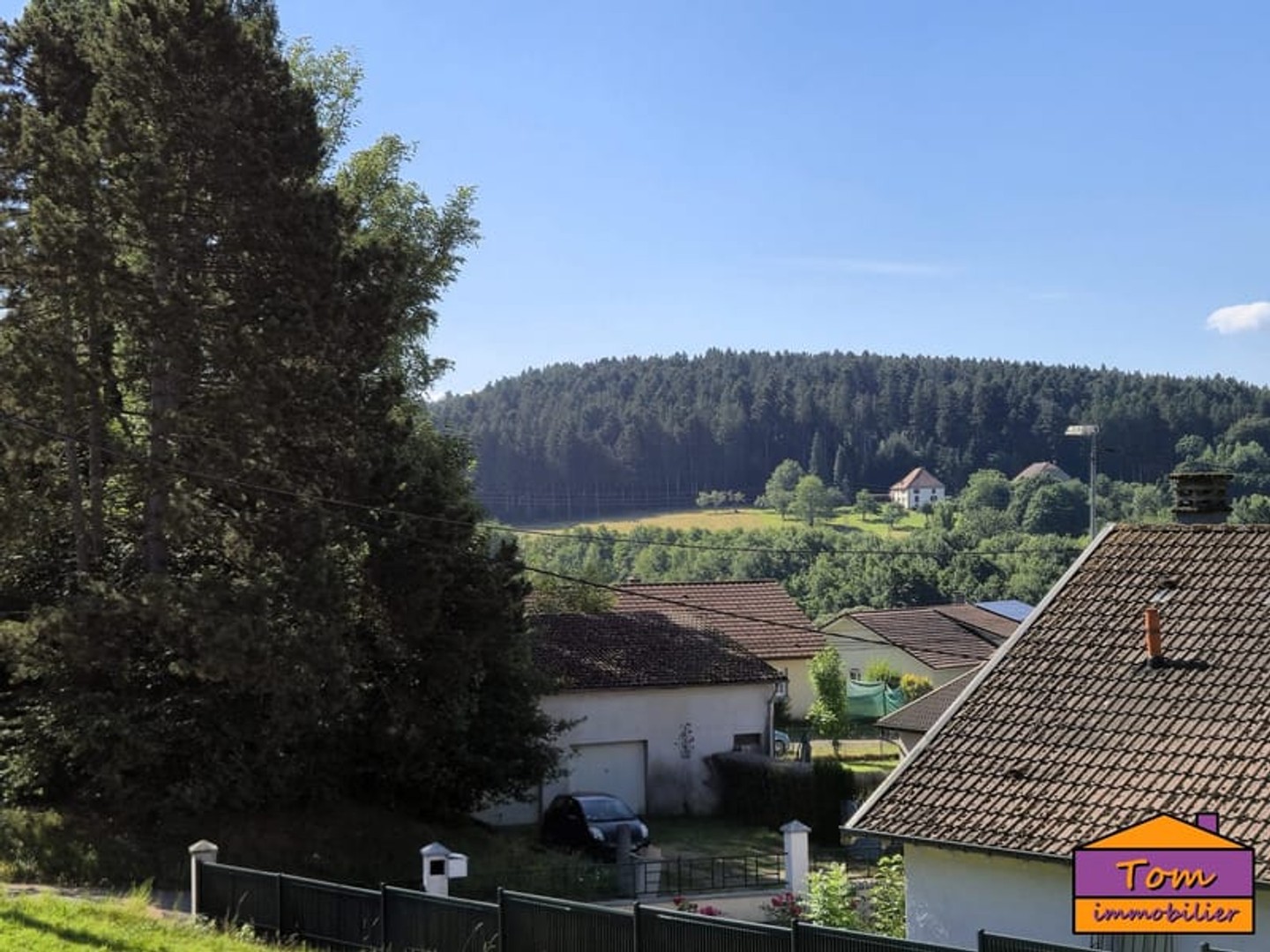 Terrain à vendre - 3325m2 - Moyenmoutier (88420)