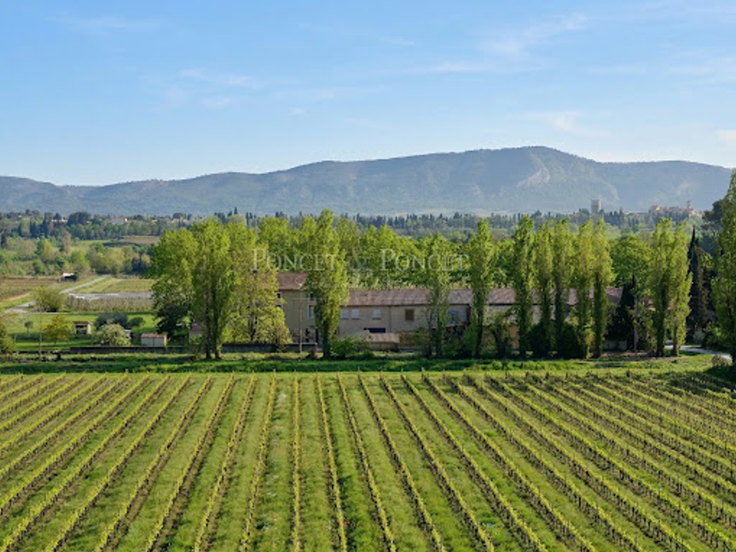Terrain à vendre - 850000m2 - Puichéric (11700)