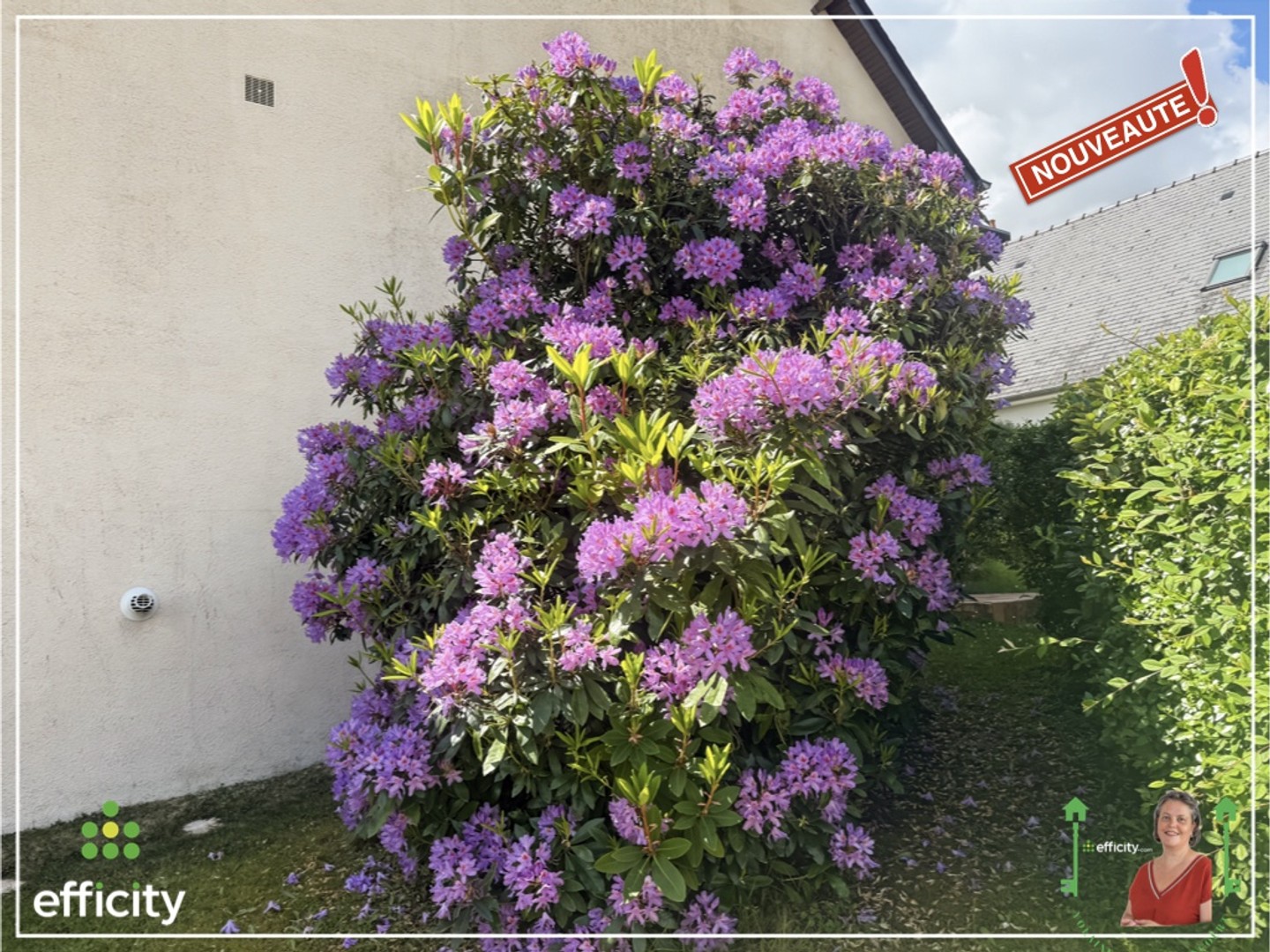 Maison à vendre - 7 pièces - 165m2 - Vitré (35500)