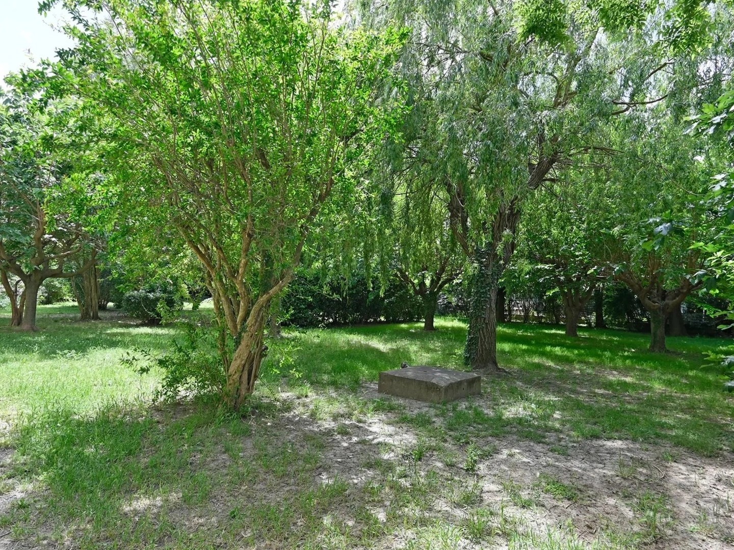 Appartement à vendre - 4 pièces - 66m2 - Avignon (84000)