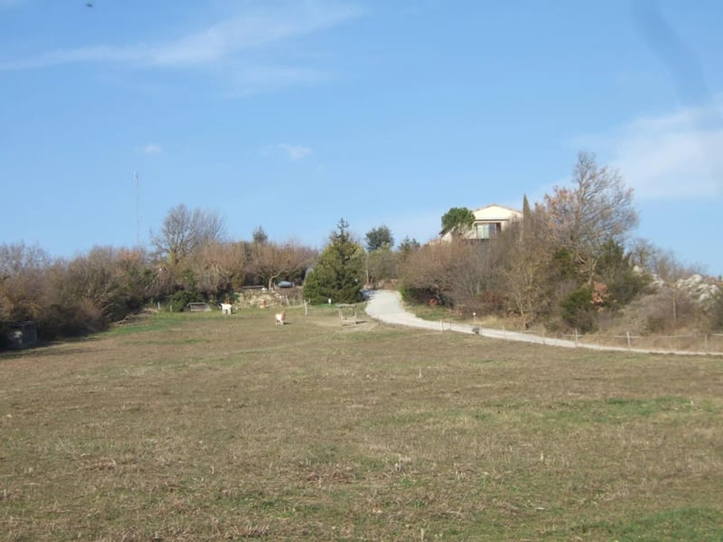 Maison sur 2 hectares de terrain