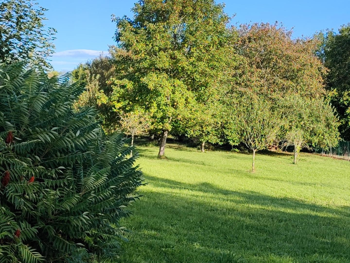 Terrain à vendre - 1750m2 - Thorigny-Sur-Oreuse (89260)