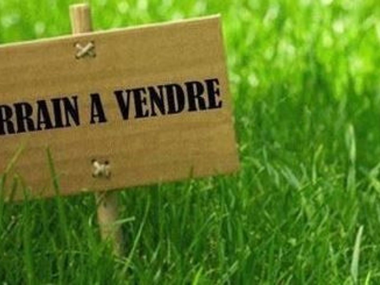 Terrain à vendre - 227m2 - Saint-Martin-Du-T... (95270)