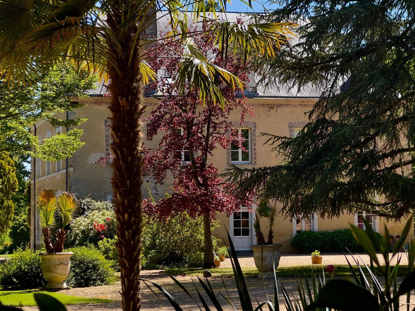 Maison à vendre - 10 pièces - 518m2 - Ombrée D'anjou (49520)