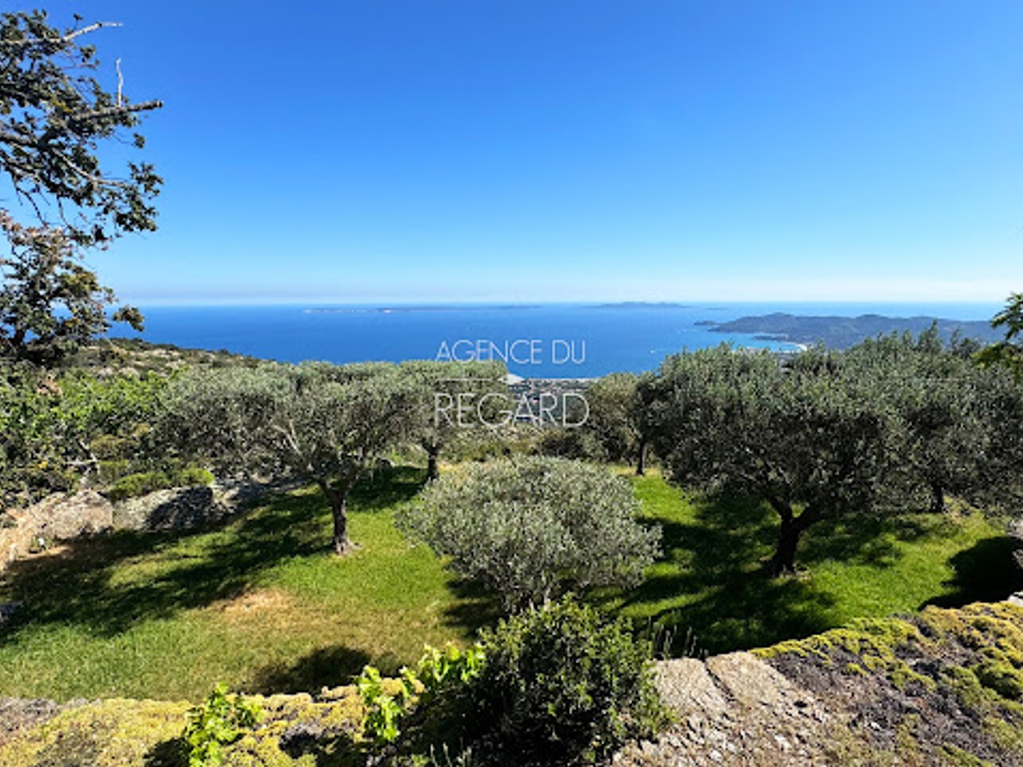 Maison à vendre - 11 pièces - 298m2 - Le Lavandou (83980)