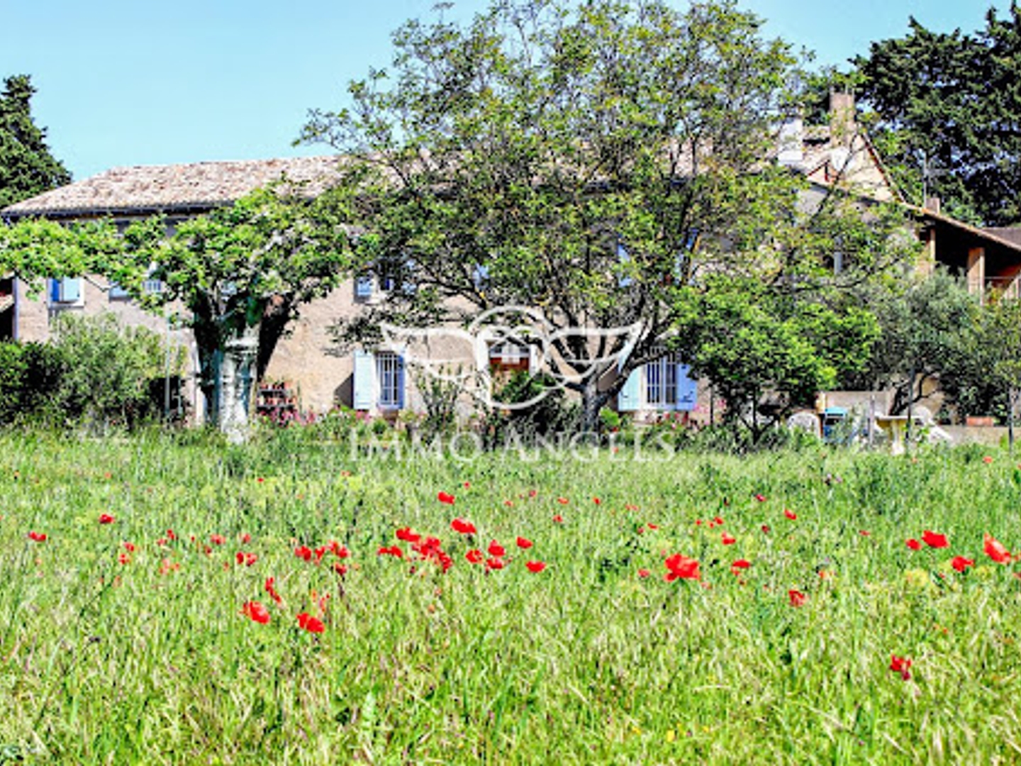 Maison à vendre - 18 pièces - 360m2 - L'isle-Sur-La-Sorgue (84800)