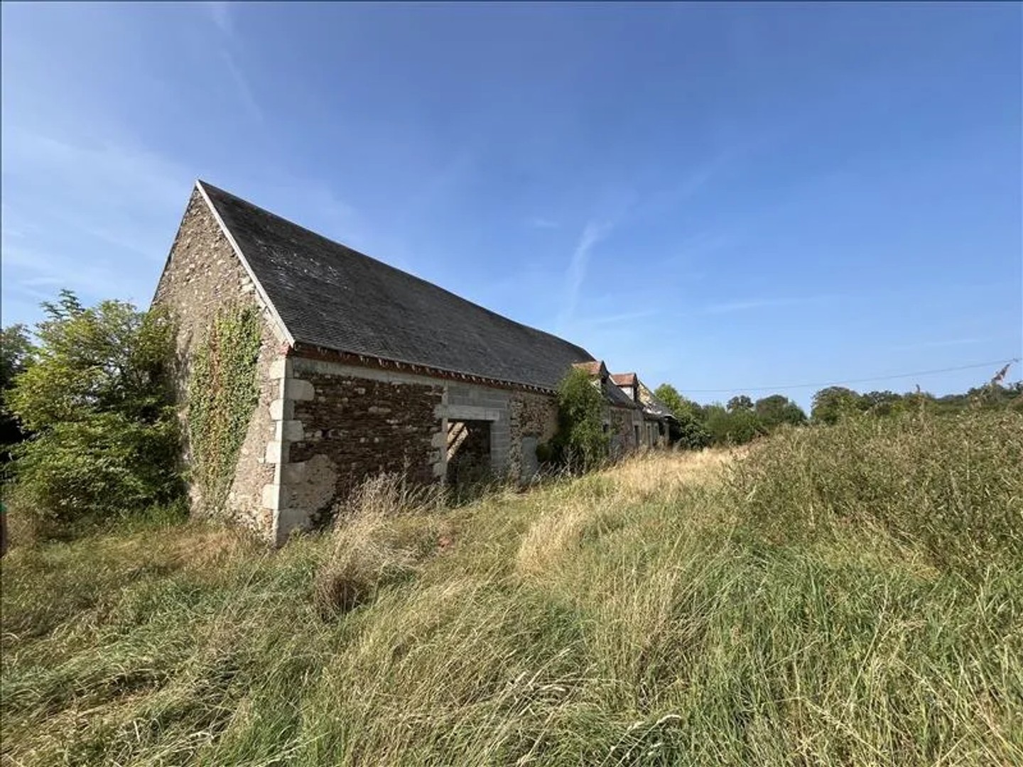 Maison à vendre - 2 pièces - 39817m2 - Saint-Maur (18270)