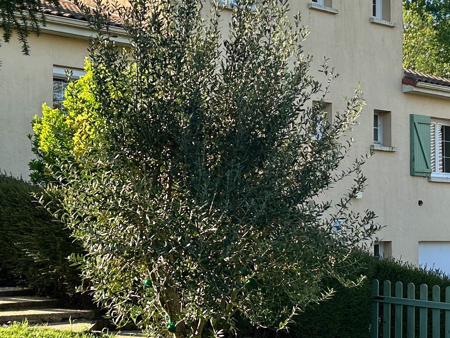Maison à vendre - 7 pièces - 140m2 - Saint-Georges-De-... (85150)